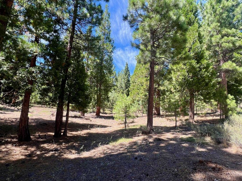 WHERE THE PINES MEET LUXURY LIVING! Discover the perfect setting - photo 9