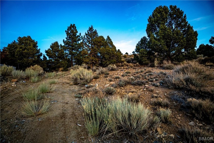 Panoramic views of Baldwin Lake, Ski Slopes, Gold Mountain, and - photo 6