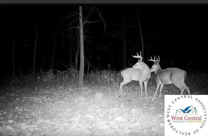 Fully timbered 40 acre tract in Benton County. Situated in the - photo 5
