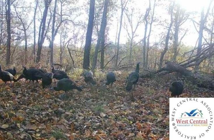 Fully timbered 40 acre tract in Benton County. Situated in the - photo 6