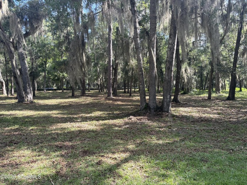 Build your dream home beneath a canopy of majestic live oaks in - photo 2