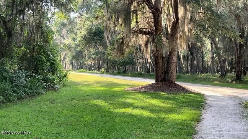 Build your dream home beneath a canopy of majestic live oaks in - photo 3