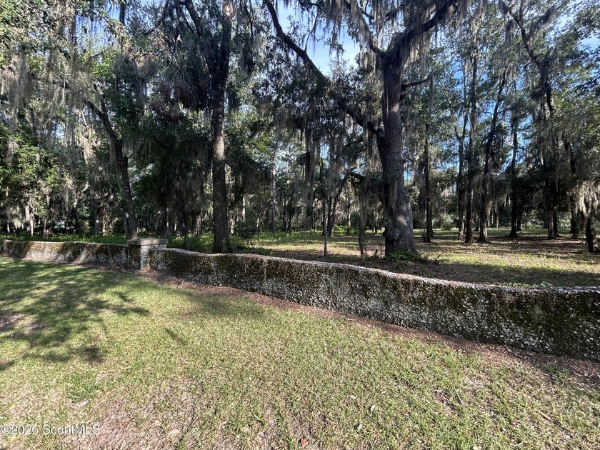 Build your dream home beneath a canopy of majestic live oaks in - photo 4