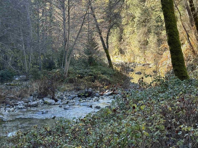 Set along the banks of the legendary Downie River. This rare - photo 3