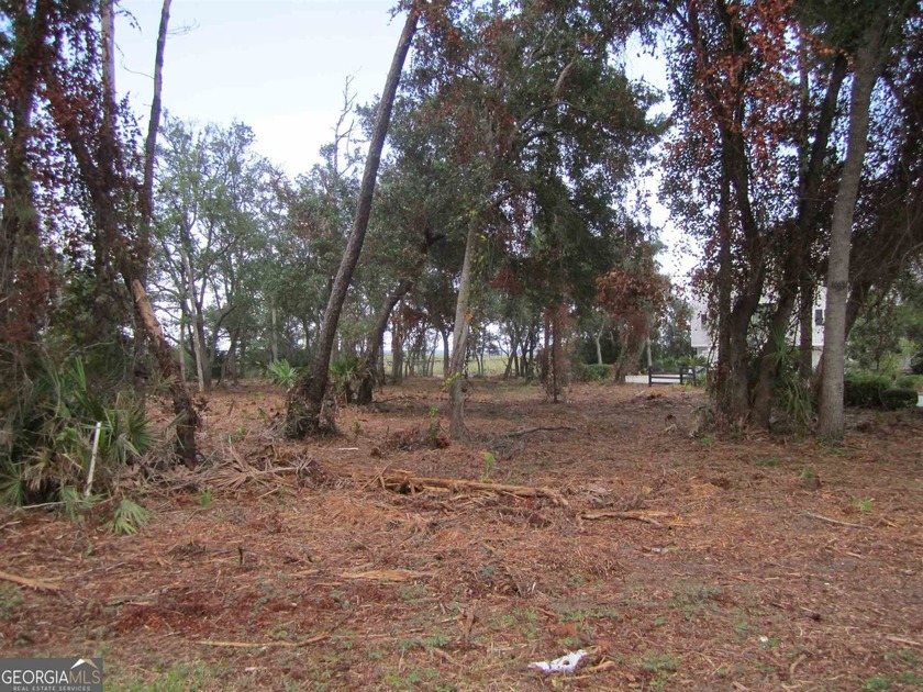 Here is your chance to build your dream home on a large - photo 19