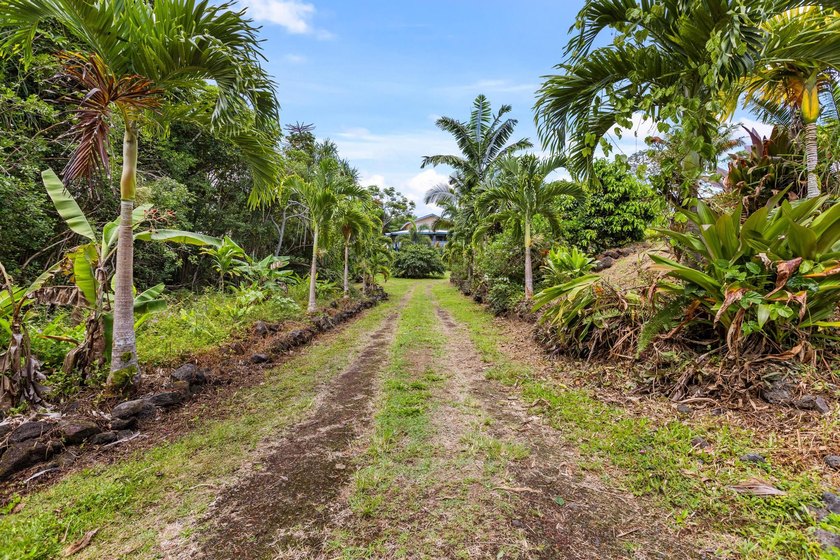 Welcome home to your tropical sanctuary and full blooming fruit - photo 21