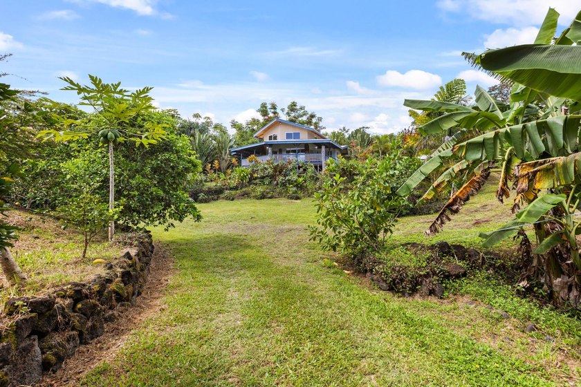 Welcome home to your tropical sanctuary and full blooming fruit - photo 22