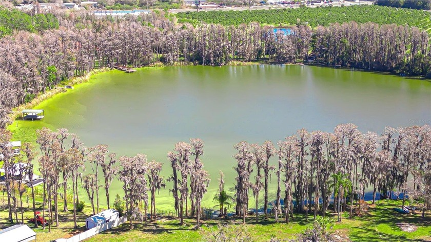 Opportunity to own 3 private acres on beautiful Wisteria Lake in - photo 16
