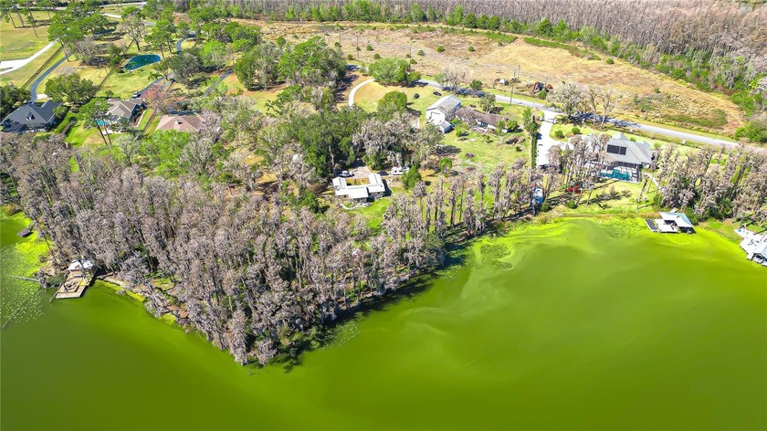 Opportunity to own 3 private acres on beautiful Wisteria Lake in - photo 19