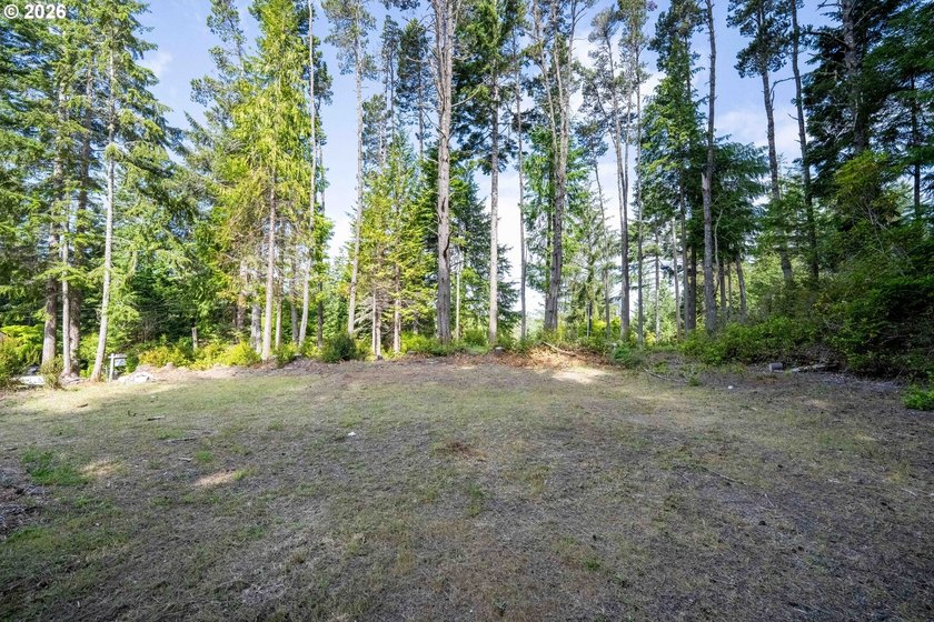 Here's your chance to own two side-by-side residential tax lots - photo 11
