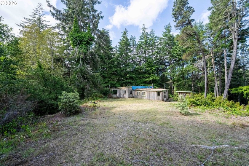 Here's your chance to own two side-by-side residential tax lots - photo 12