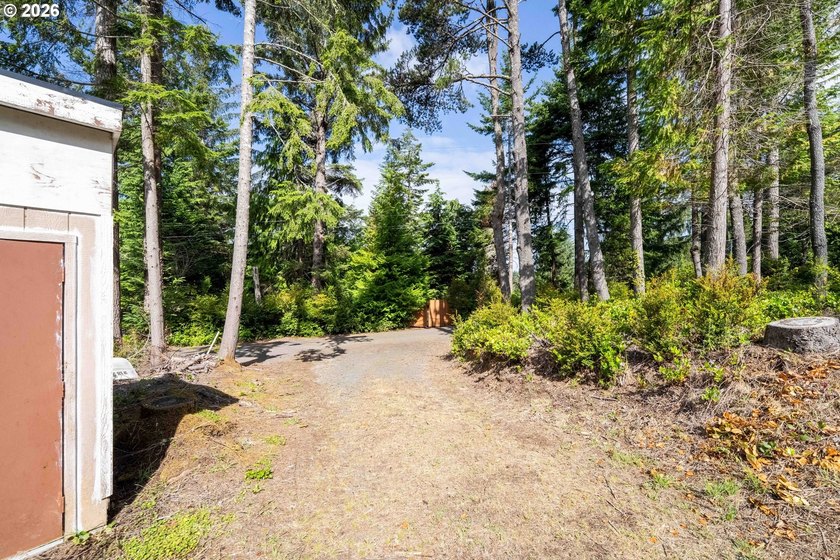 Here's your chance to own two side-by-side residential tax lots - photo 13