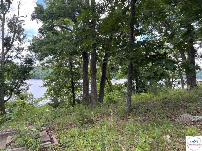 Build your new lake home on this unrestricted waterfront lot - photo 3