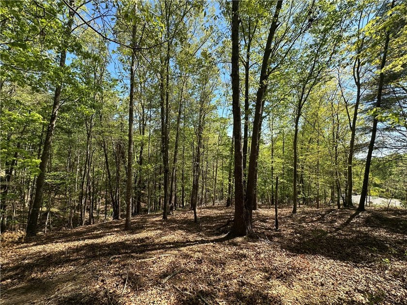 Located in the highly desirable Cliffs at Keowee Vineyards, this - photo 4