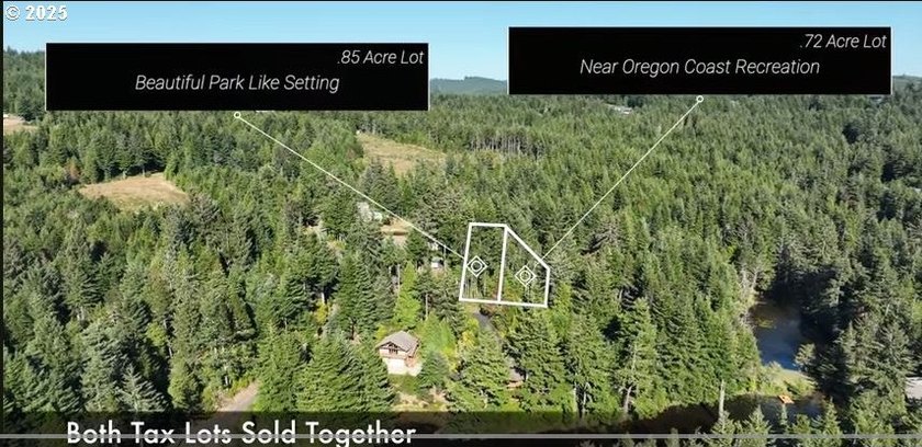 Here's your chance to own two side-by-side residential tax lots - photo 15