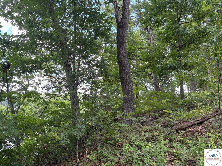 Build your new lake home on this unrestricted waterfront lot - photo 5