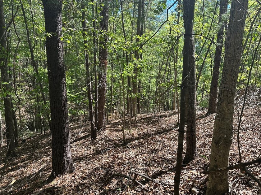 Located in the highly desirable Cliffs at Keowee Vineyards, this - photo 5
