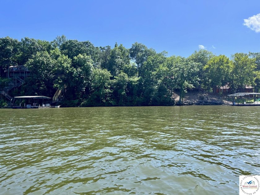Build your new lake home on this unrestricted waterfront lot - photo 6