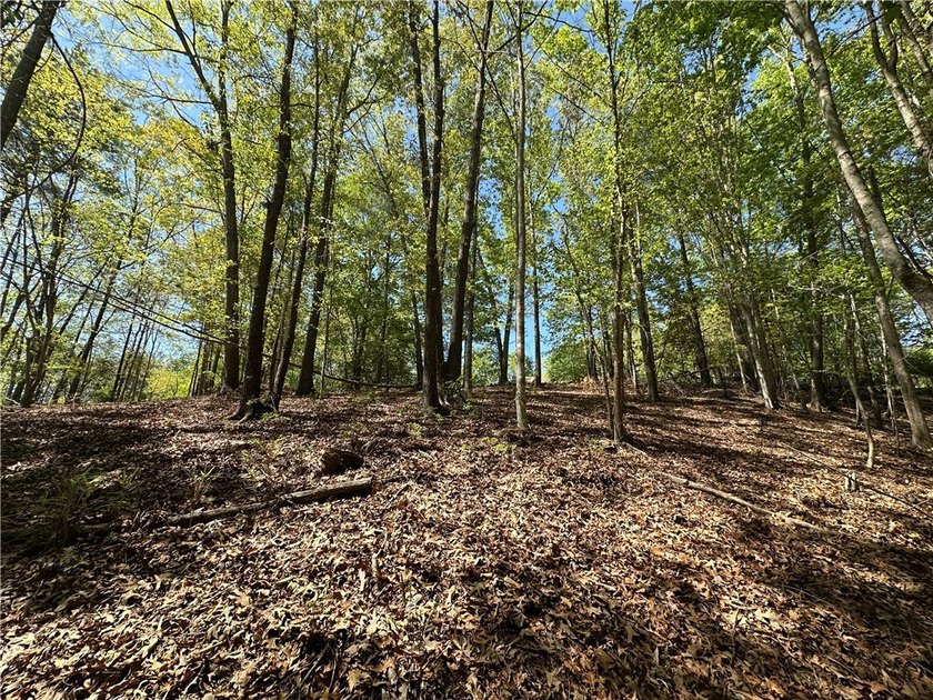 Located in the highly desirable Cliffs at Keowee Vineyards, this - photo 6