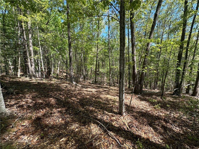 Located in the highly desirable Cliffs at Keowee Vineyards, this - photo 7