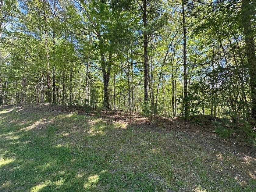 Located in the highly desirable Cliffs at Keowee Vineyards, this - photo 8