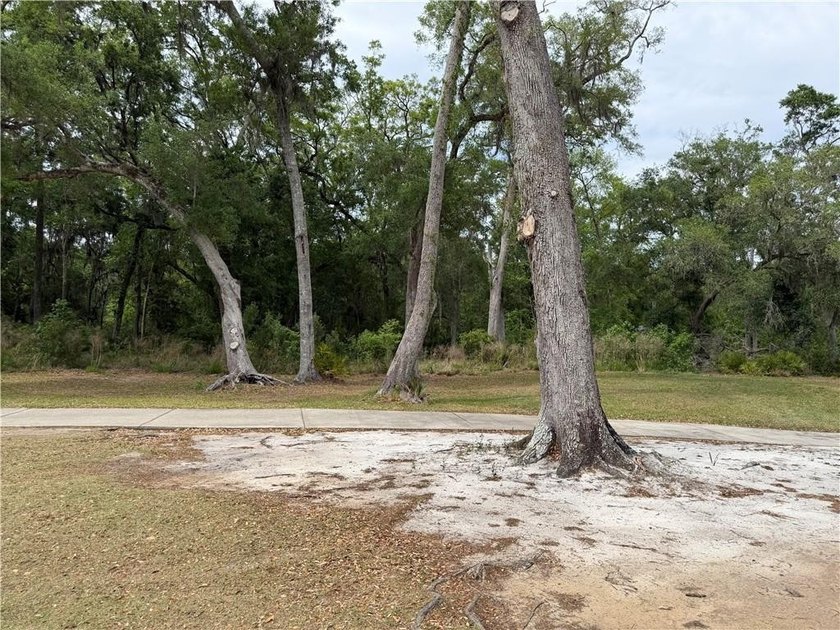 Build your custom home in a premier and gated coastal golf - photo 3