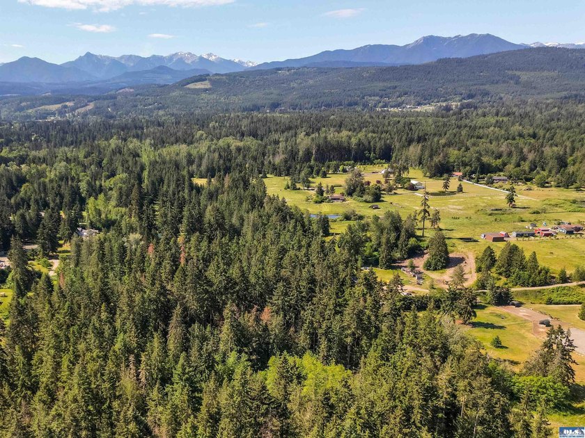Beautifully wooded 2 acre parcel with superb privacy just - photo 2