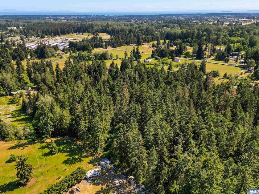 Beautifully wooded 2 acre parcel with superb privacy just - photo 3