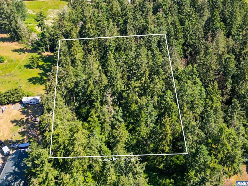 Beautifully wooded 2 acre parcel with superb privacy just - photo 5