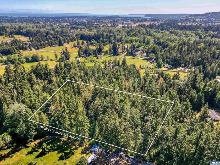 Beautifully wooded 2 acre parcel with superb privacy just - photo 6