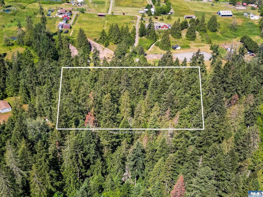 Beautifully wooded 2 acre parcel with superb privacy just - photo 7
