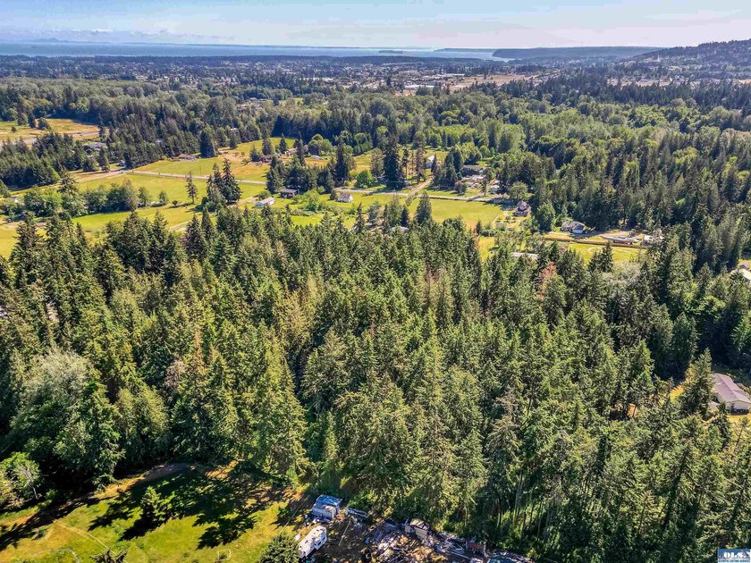 Beautifully wooded 2 acre parcel with superb privacy just - photo 8