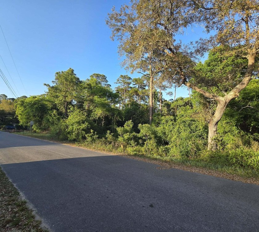 476 acre wooded interior lot zoned R1M . Not in flood Zone so - photo 4