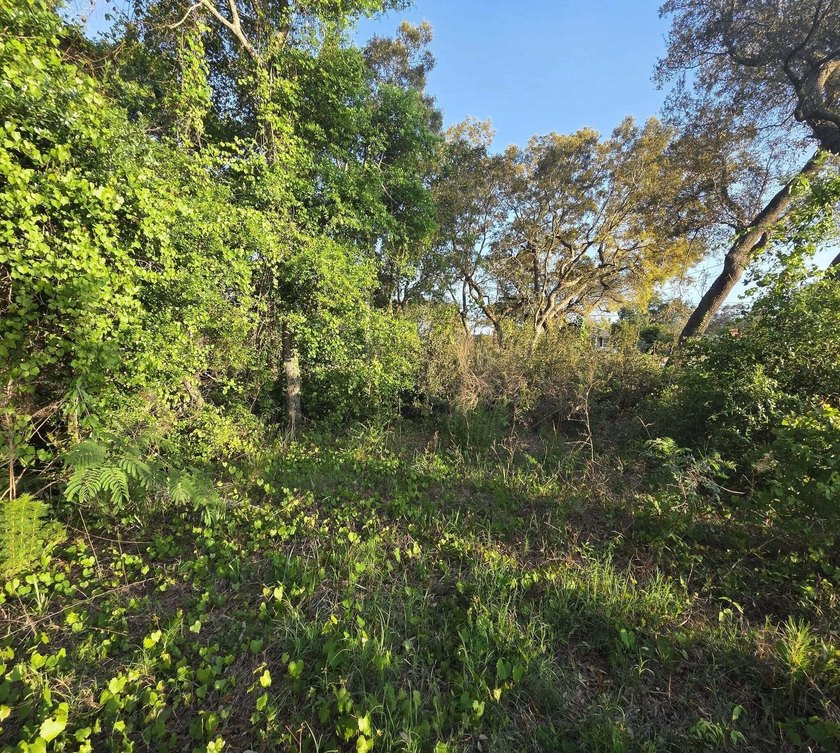 476 acre wooded interior lot zoned R1M . Not in flood Zone so - photo 6