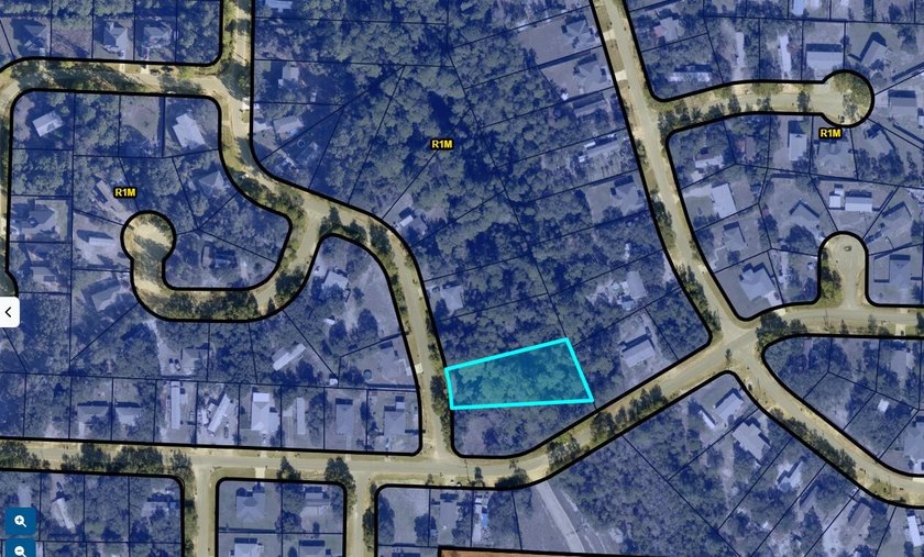 476 acre wooded interior lot zoned R1M . Not in flood Zone so - photo 10