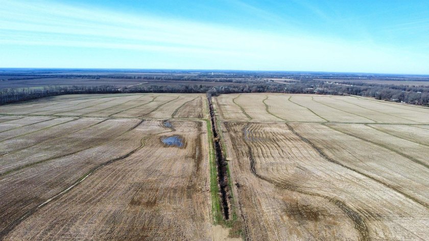 This farm, totaling 606.5 acres, is comprised of four tracts - photo 5