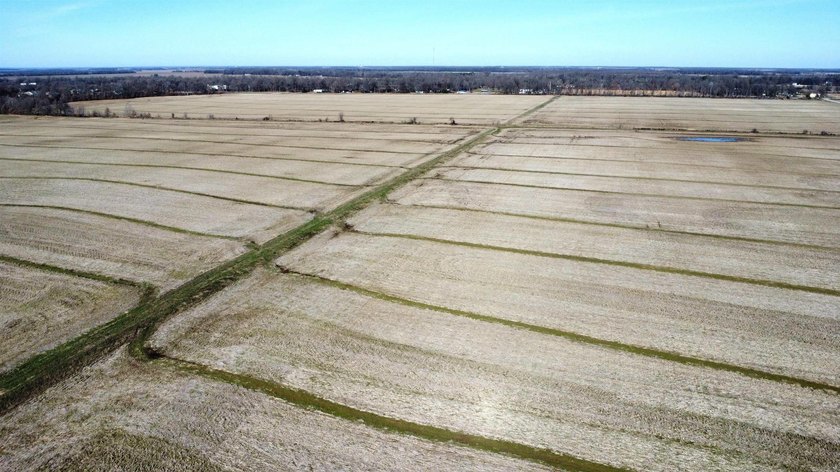 This farm, totaling 606.5 acres, is comprised of four tracts - photo 8