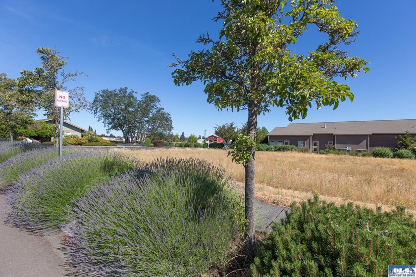Wonderful Opportunity to be a part of Sequim's Vibrant - photo 2
