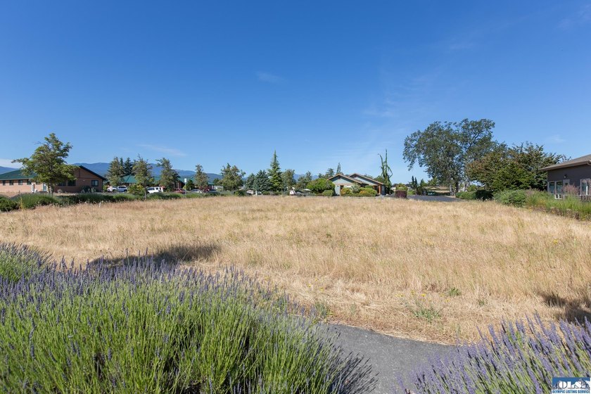Wonderful Opportunity to be a part of Sequim's Vibrant - photo 3