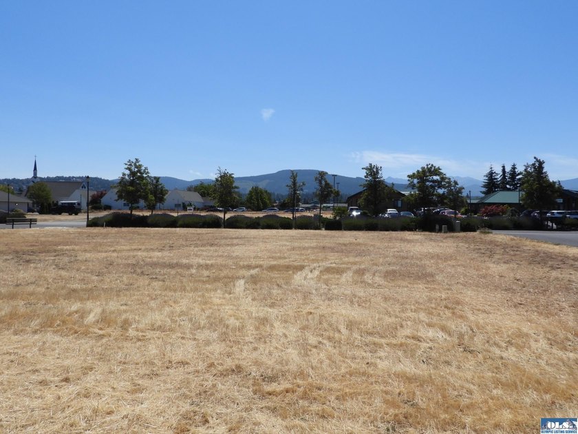 Wonderful Opportunity to be a part of Sequim's Vibrant - photo 6