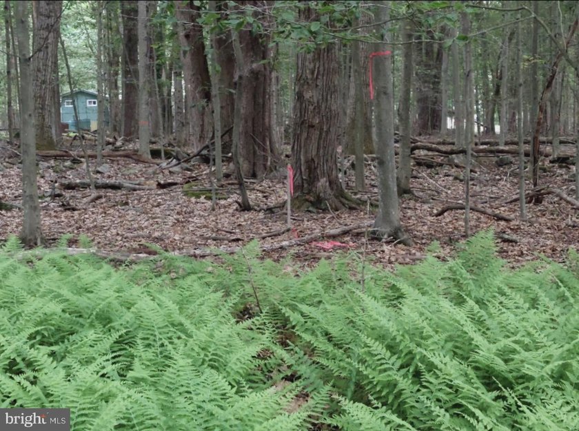 For sale is a surveyed and perc tested beautiful .8 acre lot in - photo 3