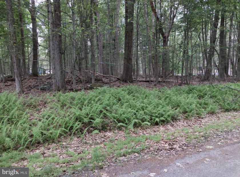 For sale is a surveyed and perc tested beautiful .8 acre lot in - photo 8