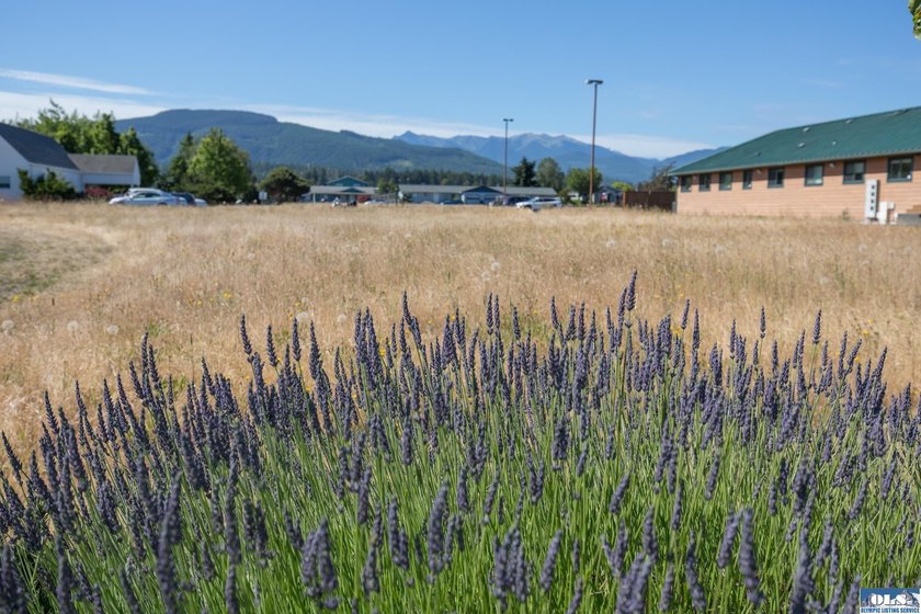 Sequim's Lifestyle District offers a great range of Health Care - photo 5