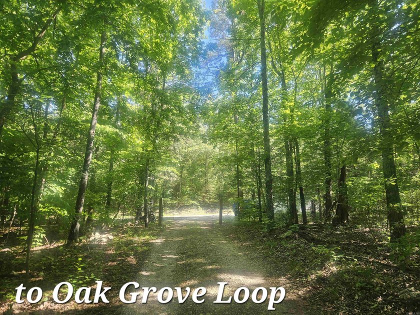 Hidden from the main road &amp; tucked deep in the Ozark woods, but - photo 45
