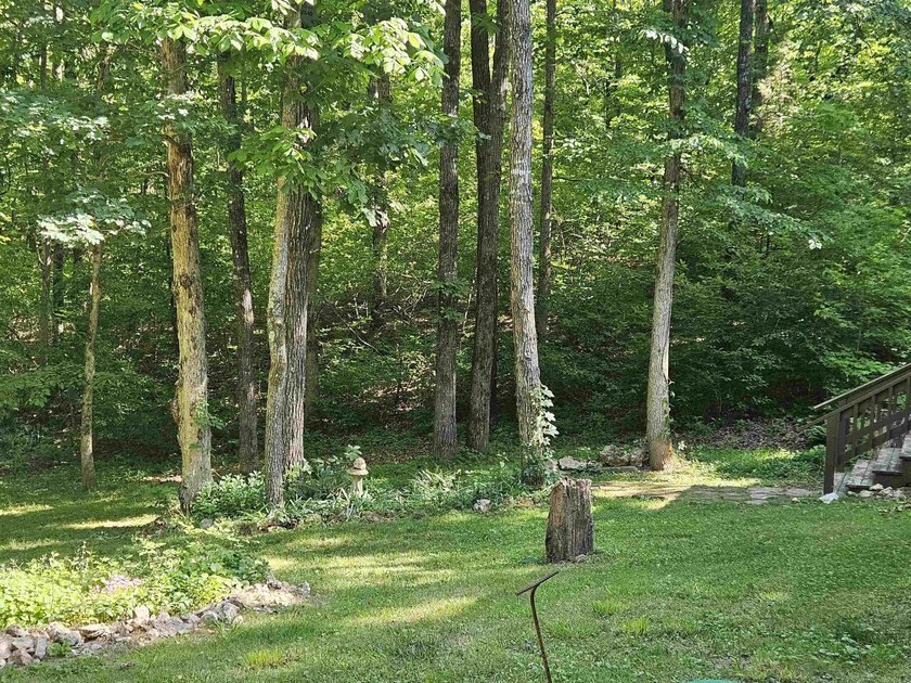 Hidden from the main road &amp; tucked deep in the Ozark woods, but - photo 47