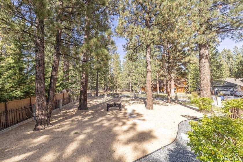Welcome to Winterpark Estates in the heart of Big Bear - photo 6