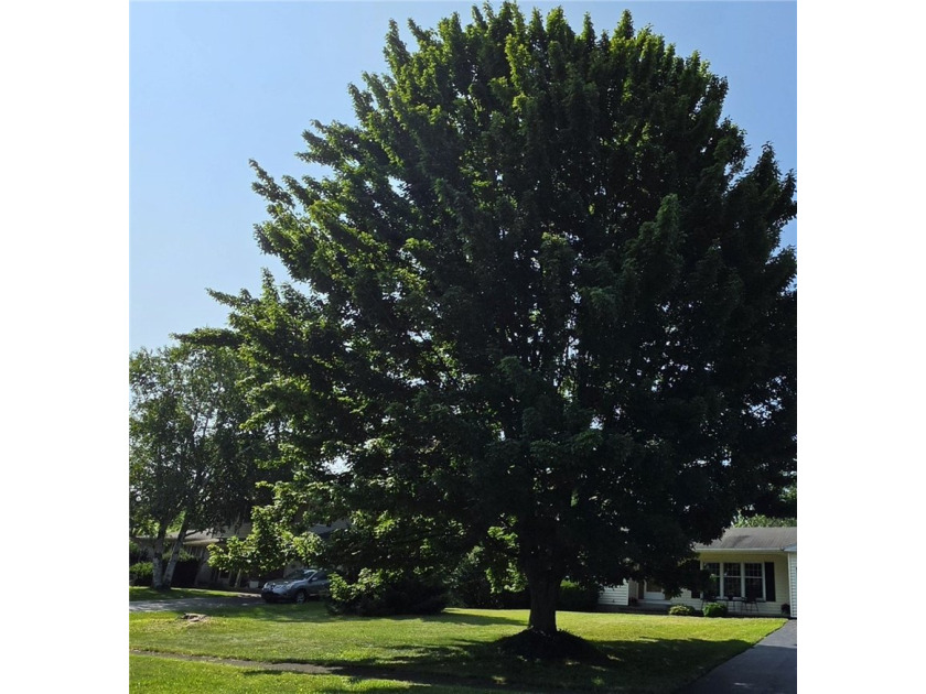 Welcome to 49 Pine Valley Drive! This move-in-ready 3-bedroom - photo 6