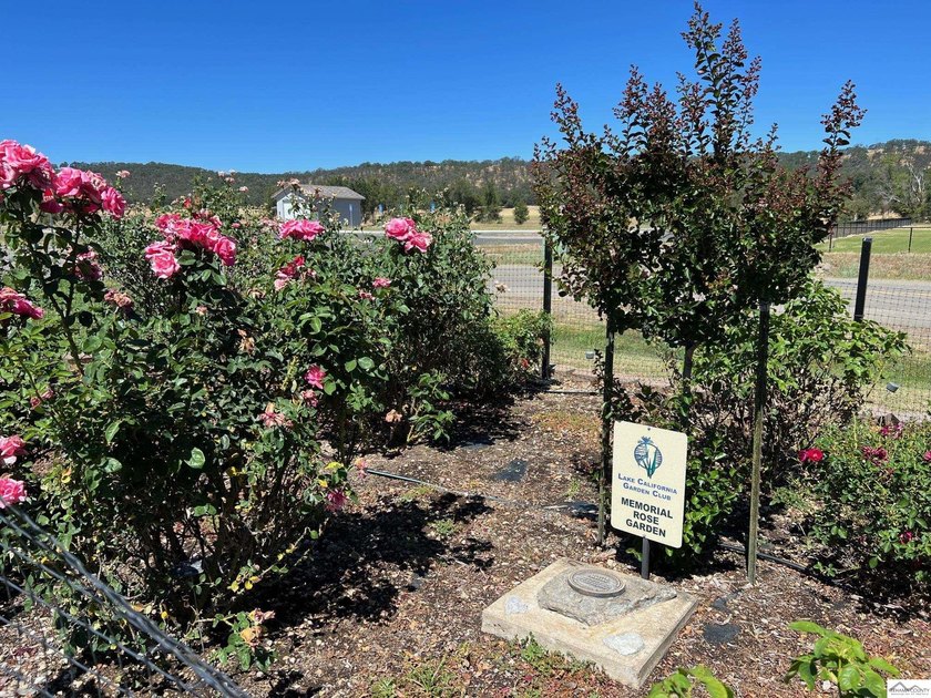 Zoned R-2, this quarter acre (.27) lot has a variety of uses - photo 11