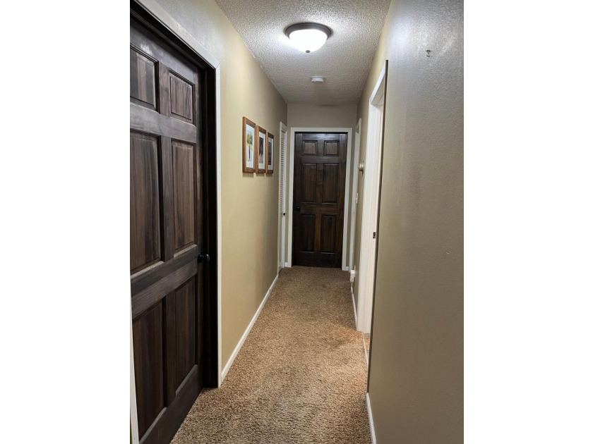 This spacious 5-bed, 3-bath walk-out home on Rainy River offers - photo 17