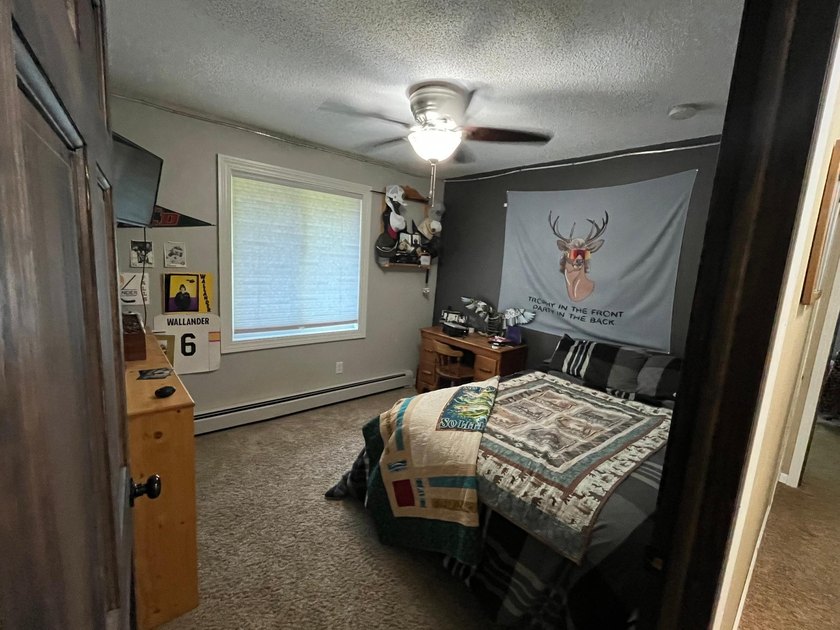 This spacious 5-bed, 3-bath walk-out home on Rainy River offers - photo 20